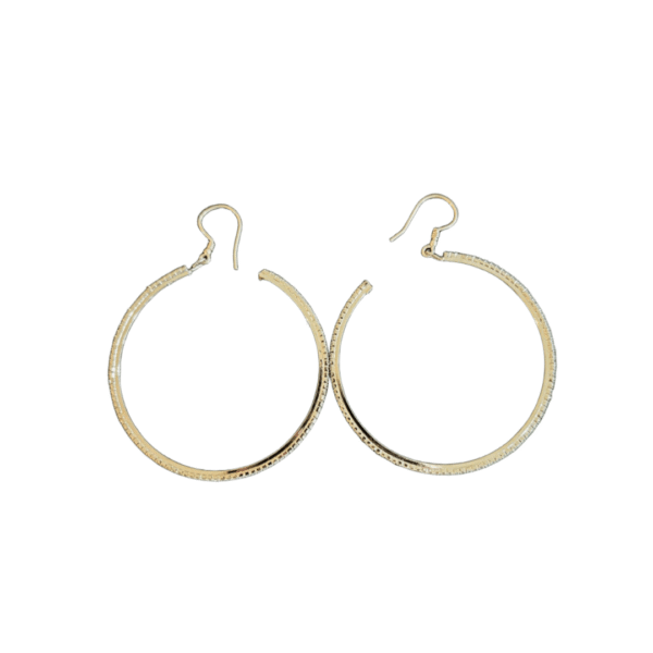 earrings 2